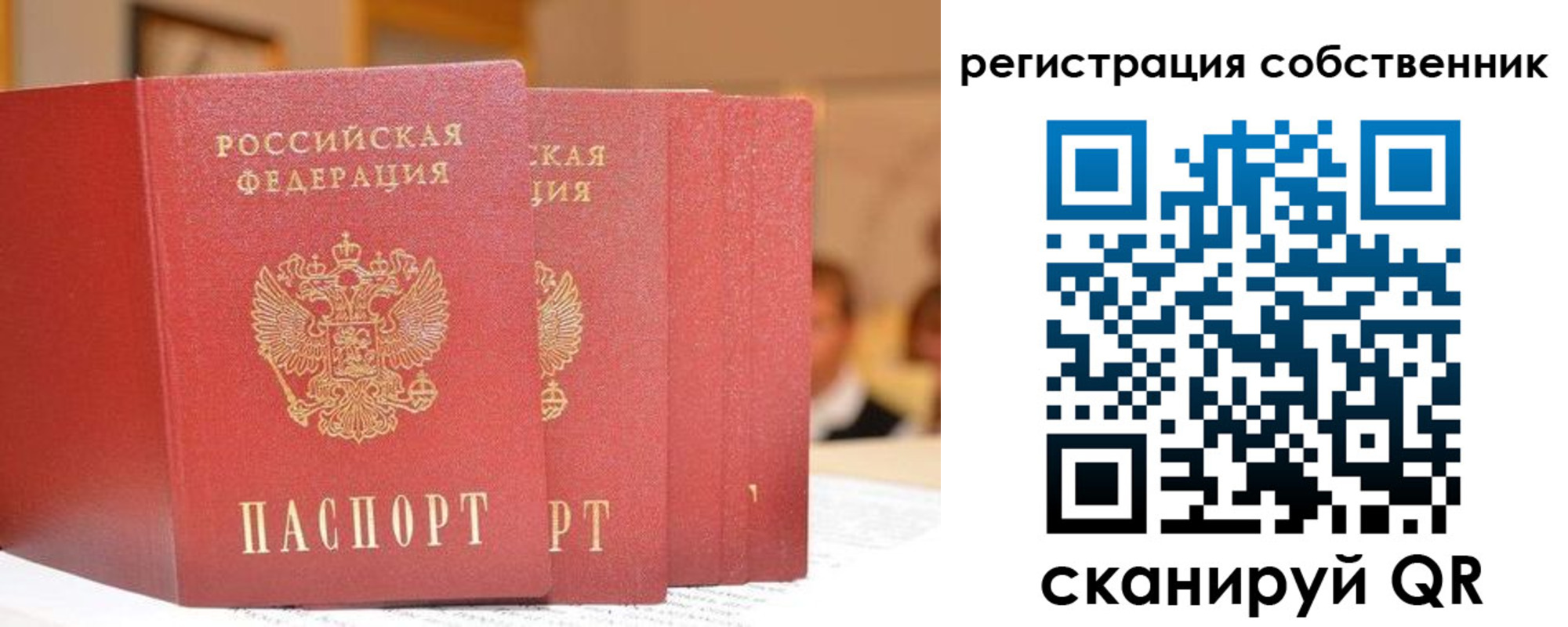 пропишу в квартире в Фокино